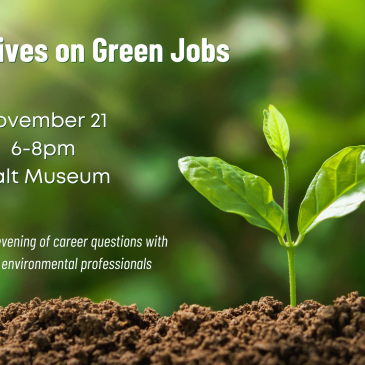 Perspectives on Green Jobs